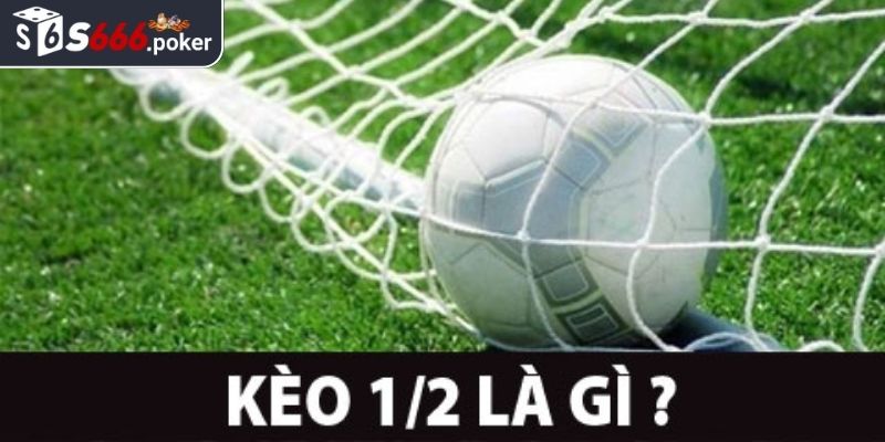 Kèo 1/2 S666 - Tổng Quan Về Cách Chơi Và 4 Bí Kíp Chuẩn Xác 1 Định nghĩa kèo 1/2 S666