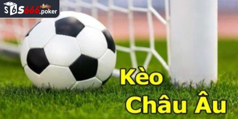 Kèo Châu Âu S666 - Hướng Dẫn Dành Cho Người Chơi Cá Cược 1 Khám phá kèo Châu Âu S666